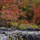 Illustration for article titled Fall Photos 1